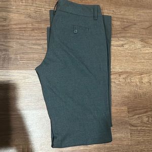 New York & Company petite pants